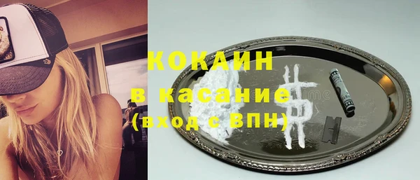 сатива Березники