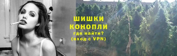 хмурый Долгопрудный