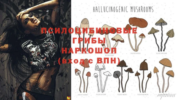 прущая мука Инта
