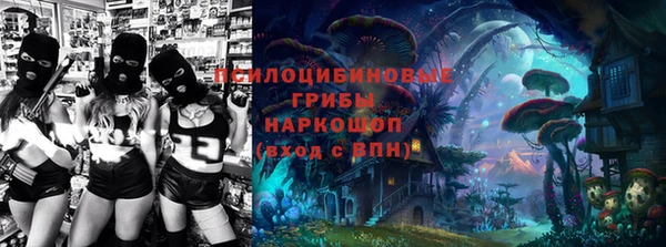 дживик Инсар