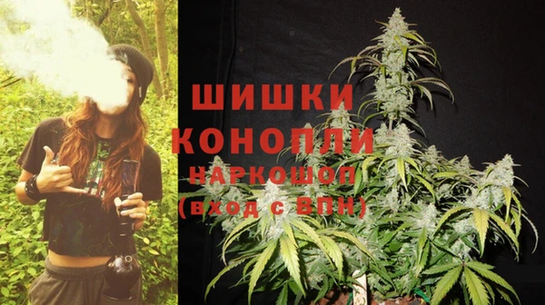 дживик Инсар