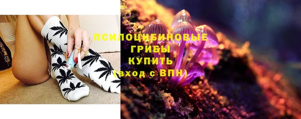 дживик Инсар