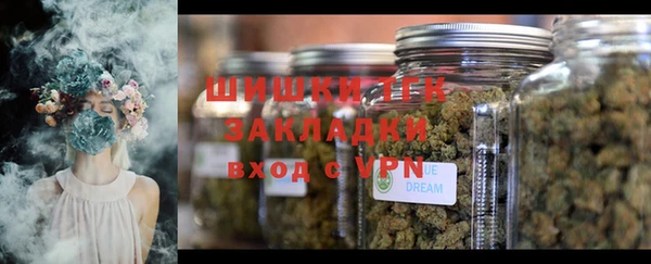 прущая мука Инта